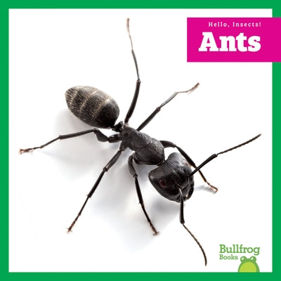 Ants by Zimmerman, Adeline J.