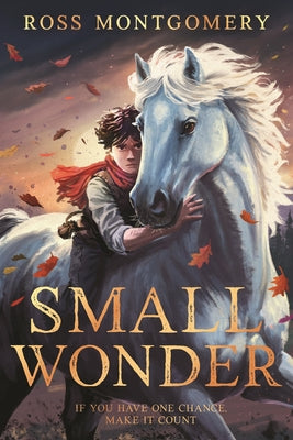 Small Wonder by Montgomery, Ross