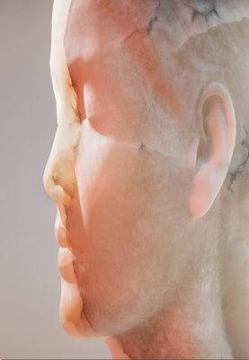 Jaume Plensa: Inner Matter by Plensa, Jaume