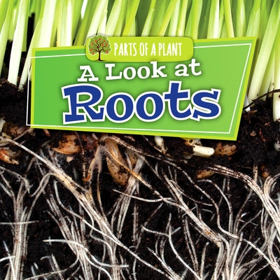 A Look at Roots by Lowe, Lindsey