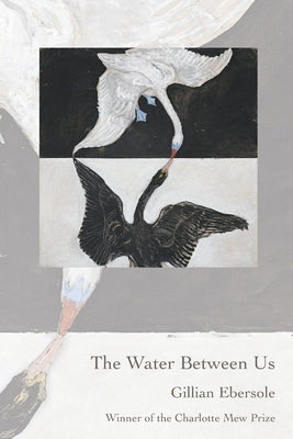The Water Between Us by Ebersole, Gillian