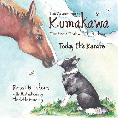 The Adventures of Kumakawa: The Horse That Will Try Anything by Harding, Charlotte