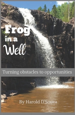 Frog in a Well: Turning obstacles to opportunities by D'Souza, Harold