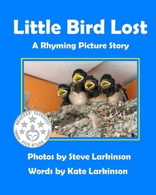 Little Bird Lost by Larkinson, Kate
