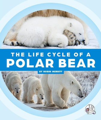 The Life Cycle of a Polar Bear by Merritt, Robin