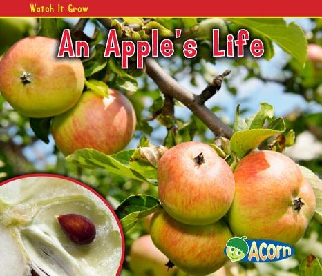 An Apple's Life by Dickmann, Nancy