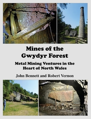 Mines of the Gwydyr Forest: Metal Mining Ventures in the Heart of North Wales by Vernon, Robert