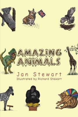 Amazing Animals by Stewart, Jan