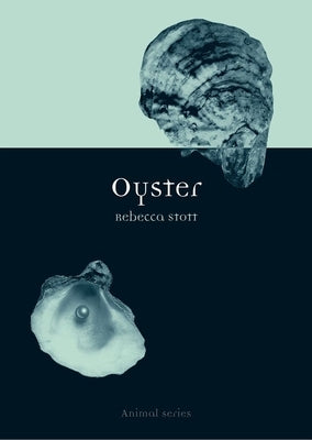Oyster by Stott, Rebecca