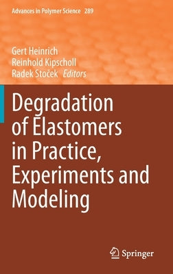 Degradation of Elastomers in Practice, Experiments and Modeling by Heinrich, Gert