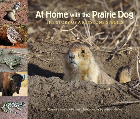 At Home with the Prairie Dog: The Story of a Keystone Species by Patent, Dorothy Hinshaw