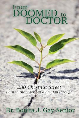 From DOOMED to DOCTOR 280 Chestnut Street: Born in the Crack but Didn't FALL Through by Gay-Senior, Bonita J.
