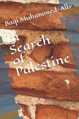 In Search of Palestine by Muhammed-Ally, Baqi