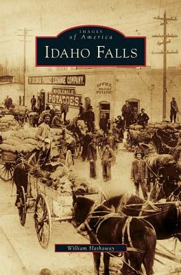Idaho Falls by Hathaway, William