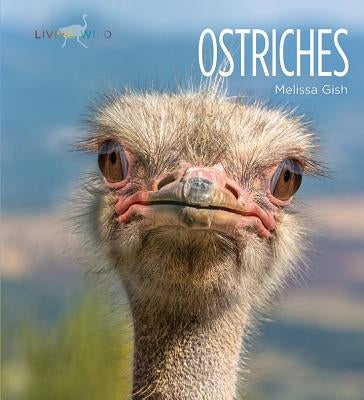 Ostriches by Gish, Melissa
