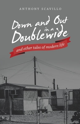 Down and out in a Doublewide and Other Tales of Modern Life by Scavillo, Anthony