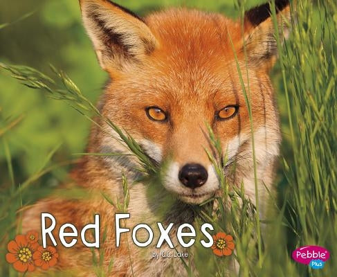 Red Foxes by Lake, G. G.