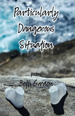 Particularly Dangerous Situation by Gordon, Beth