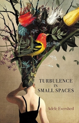 Turbulence in Small Spaces by Evershed, Adele