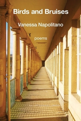 Birds and Bruises by Napolitano, Vanessa