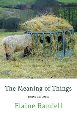 The Meaning of Things by Randell, Elaine