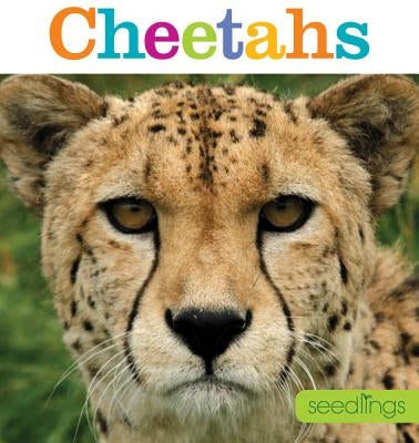 Seedlings: Cheetahs by Riggs, Kate