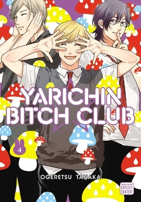 Yarichin Bitch Club, Vol. 4 by Tanaka, Ogeretsu