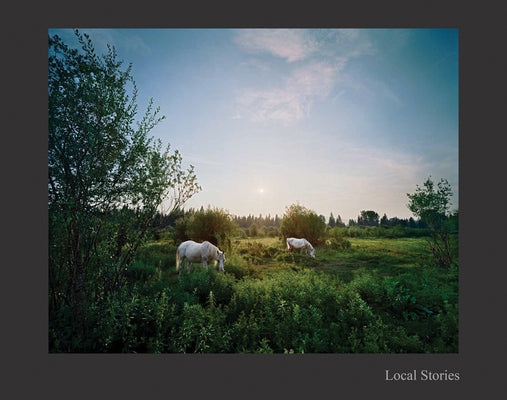 Jerry Spagnoli: Local Stories by Spagnoli, Jerry