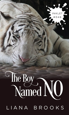 The Boy Named No by Brooks, Liana