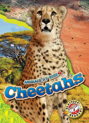 Cheetahs by Grack, Rachel