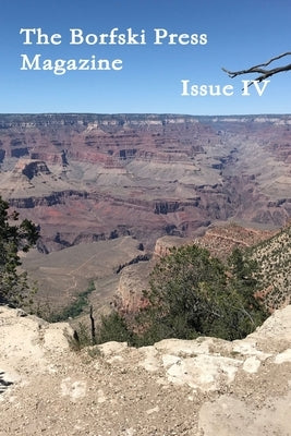 Issue IV (Paperback) by Press, The Borfski