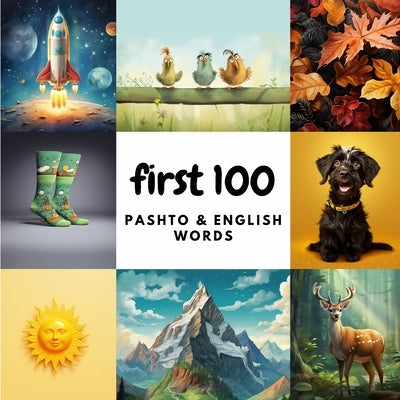 First 100 Pashto & English Words by Heidary, Aisling