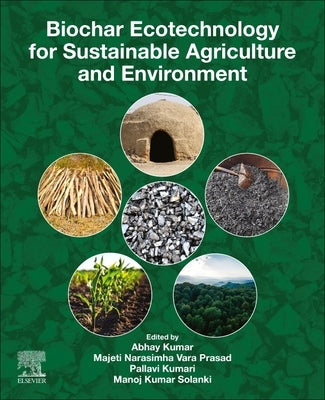 Biochar Ecotechnology for Sustainable Agriculture and Environment by Kumar, Abhay