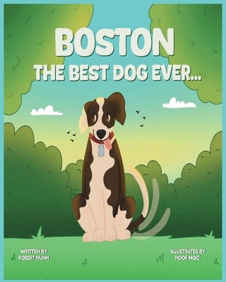 Boston by Nunn, Robert