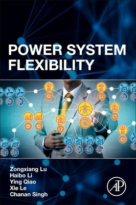 Power System Flexibility by Lu, Zongxiang