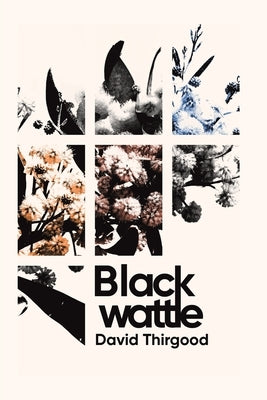 Blackwattle by Thirgood, David
