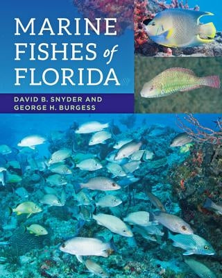 Marine Fishes of Florida by Snyder, David B.