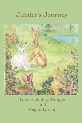 Jupiter's Journey by Zangpo, Lama Lakshey