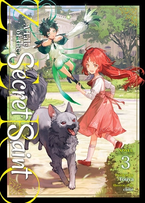 A Tale of the Secret Saint Zero (Light Novel) Vol. 3 by Touya