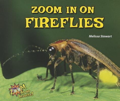 Zoom in on Fireflies by Stewart, Melissa