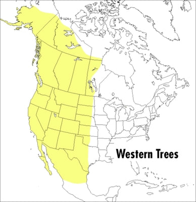 A Peterson Field Guide to Western Trees: Western United States and Canada by Petrides, Olivia