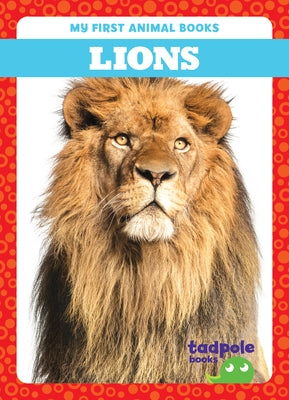 Lions by Deniston, Natalie