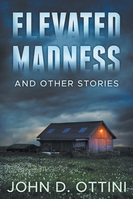 Elevated Madness and Other Stories by Ottini, John D.