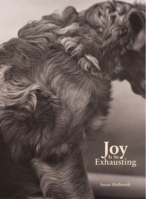 Joy Is So Exhausting by Holbrook, Susan