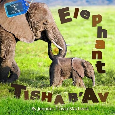 Elephant Tisha b'Av by MacLeod, Jennifer Tzivia