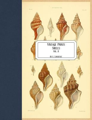 Vintage Prints: Shells: Vol. 8 by Lawrence, E.