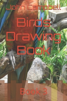 Birds Drawing Book: Book 3 by Campbell, John