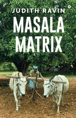 Masala Matrix by Judith Ravin