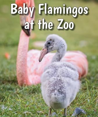 Baby Flamingos at the Zoo by Brannon, Cecelia H.