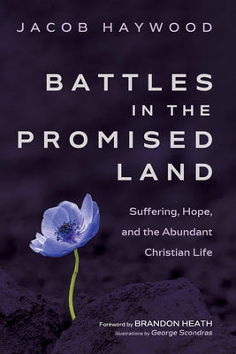 Battles in the Promised Land by Haywood, Jacob